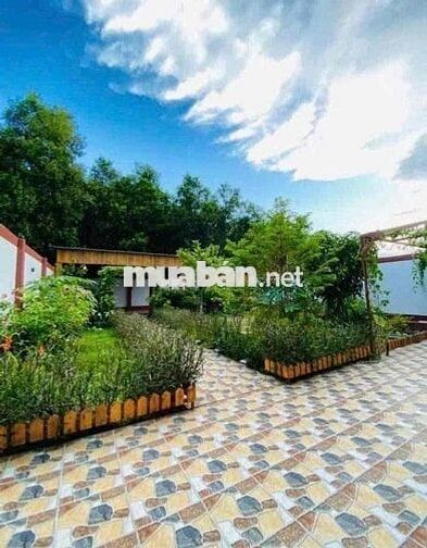 Chơi tài xỉu 🎲 bể nợ nên chủ cần gấp căn nhà vườn 600 triệu giá 596