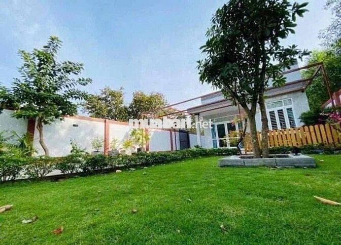 Chơi tài xỉu 🎲 bể nợ nên chủ cần gấp căn nhà vườn 600 triệu giá 596