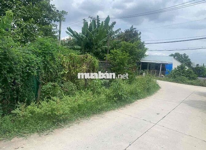 Đất 780m2 MT nhựa, gần KDL núi chứa chan, Đồng nai