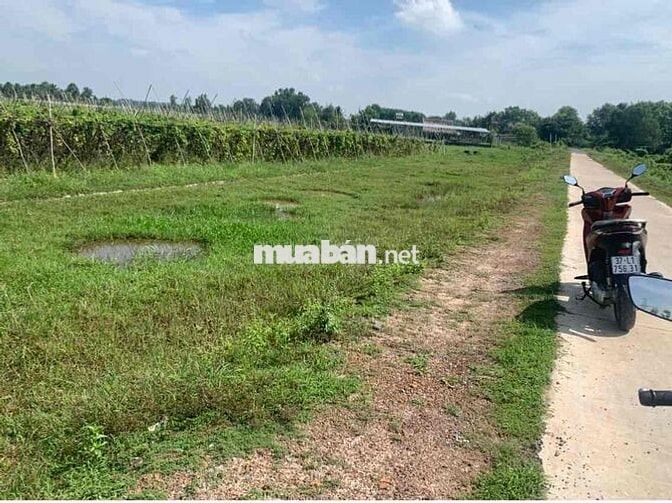 Đất 780m2 MT nhựa, gần KDL núi chứa chan, Đồng nai