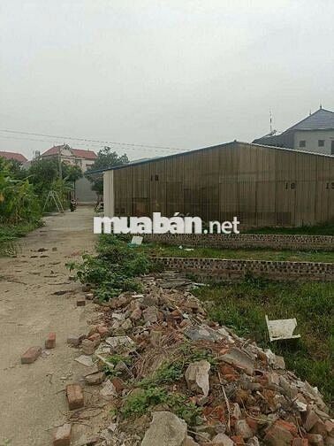🍀 🍀 Bán 141m2 Đất Đồng Trầm, Tiên Dược – Ô Tô đỗ cửa, gần Trục Chính