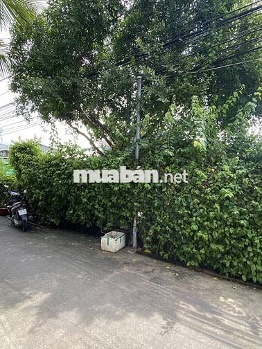 Bán 3 nền liền kề(có tách lẻ) đường Phạm Hùng,quận Cái Răng,tp Cần Thơ