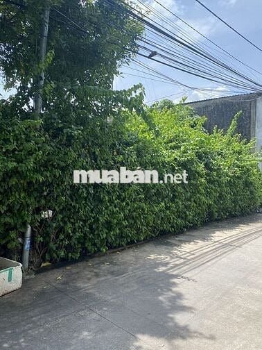 Bán 3 nền liền kề(có tách lẻ) đường Phạm Hùng,quận Cái Răng,tp Cần Thơ