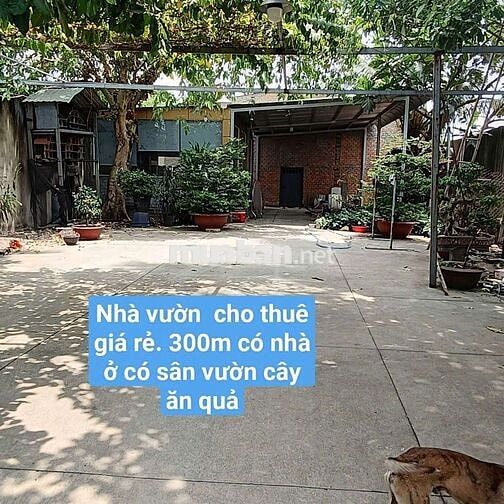 nhà vườn 300m có nhà ở. mái che tôn.Đường lại Hùng Cường Vĩnh Lộc b