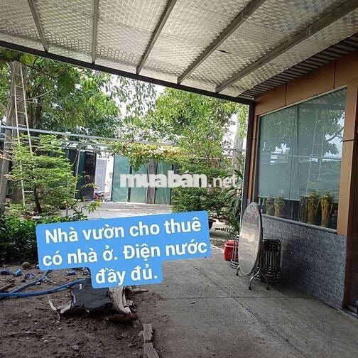 nhà vườn 300m có nhà ở. mái che tôn.Đường lại Hùng Cường Vĩnh Lộc b