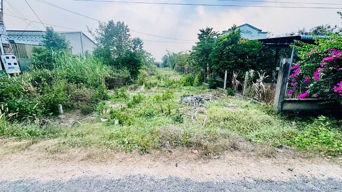 947m2 có 500m2 thổ cư. Đường nhựa. 8m ngang. 1,x tỷ 