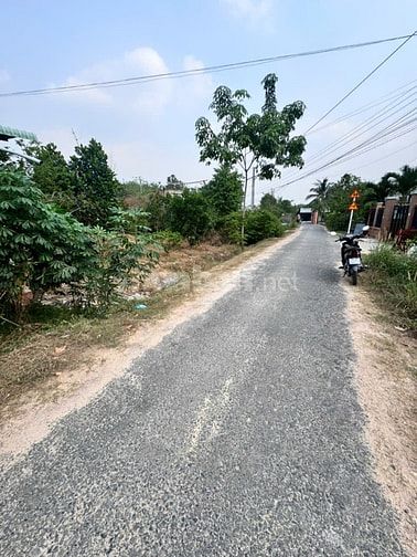 947m2 có 500m2 thổ cư. Đường nhựa. 8m ngang. 1,x tỷ 