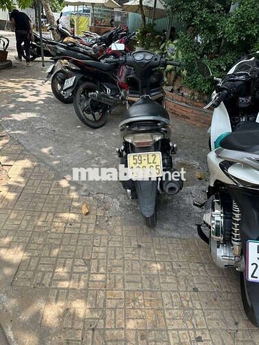 Suzuki Nâu Đã sử dụng