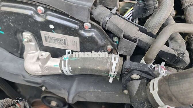 Ford Transit VAN 2022 6 chỗ Trắng