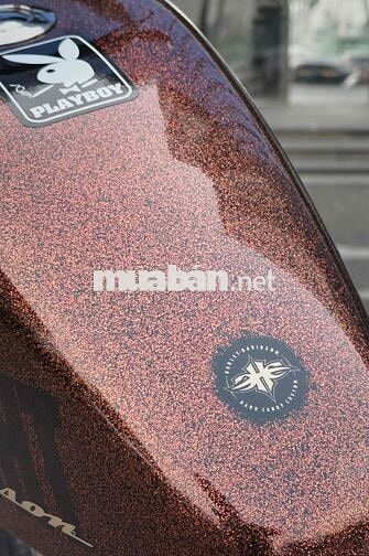 Harley-Davidson 48 HardCandy 2014