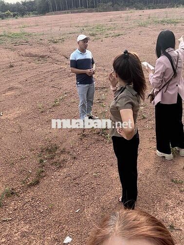 Ngân hàng thanh lý 3lô liền kề