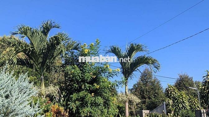 Bán đất vườn 2 mặt tiền hơn 6 sào xã Tà Lài, có 300m thổ cư, nhà cấp 4