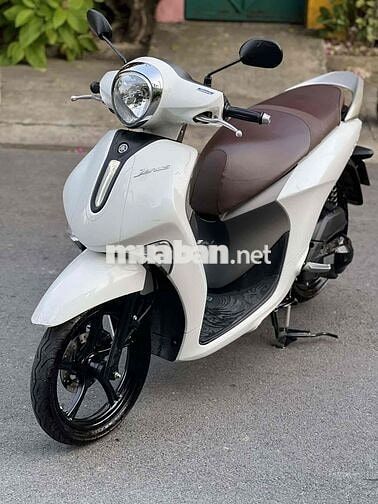 Yamaha Janus 2024 Trắng Nâu Xám mới 98 % len ken