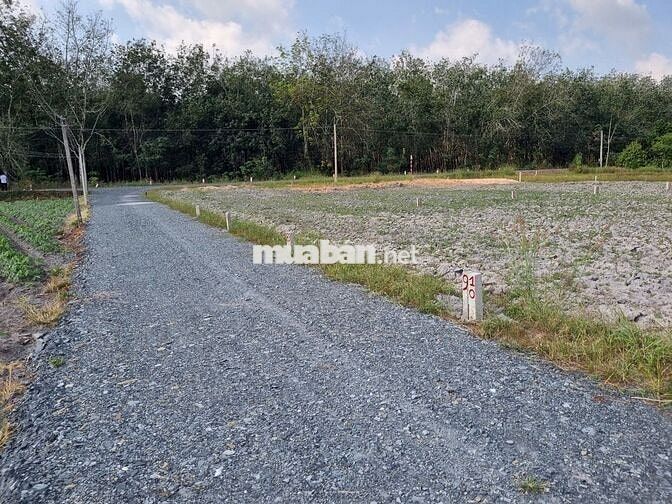 150m2 có thổ. Đường xe hơi. Gần nhựa. 2xx tr 