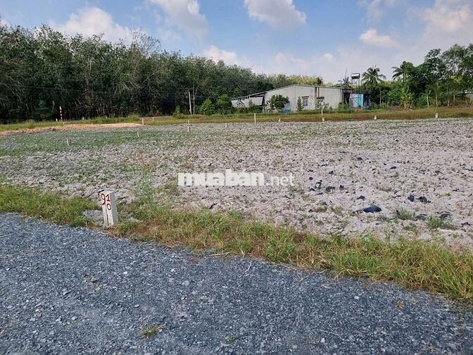 150m2 có thổ. Đường xe hơi. Gần nhựa. 2xx tr 