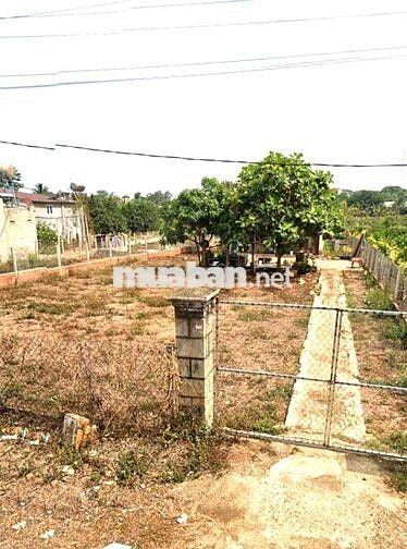 Bán lô đất rộng rãi mặt tiền đường nhựa Phường Eakao