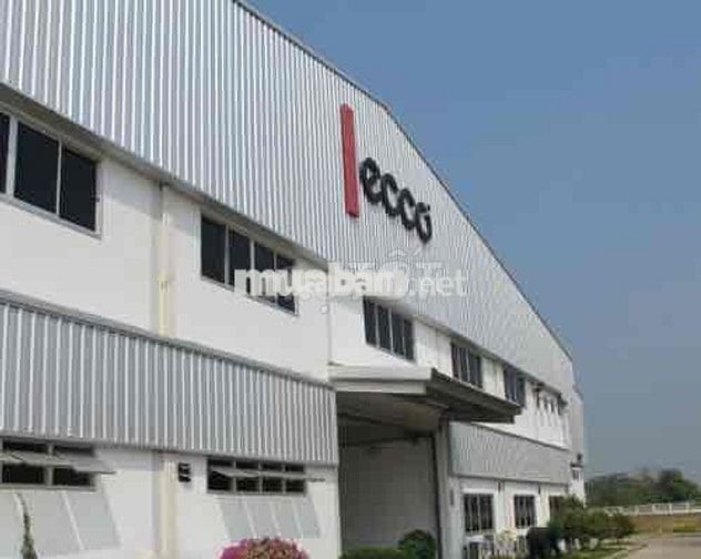TUYỂN DỤNG CÔNG TY ECCO