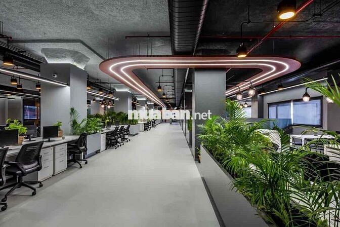 Toà OFFICE nổi bật giữa trung tâm Quận 1 Full kính 10x20M hầm 5 tầng