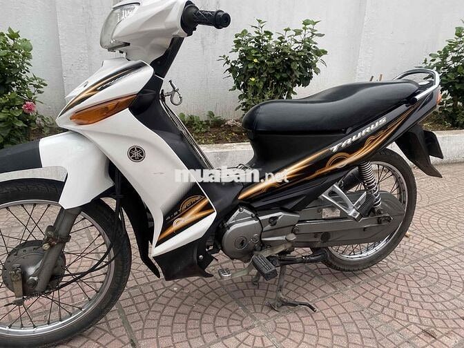 Yamaha Taurus 2010 Trắng Đen