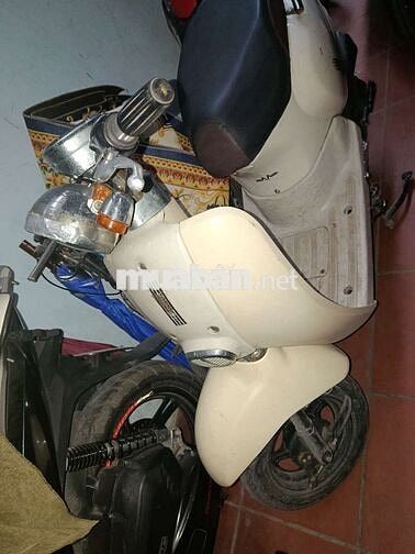 Honda 50cc Trắng kem