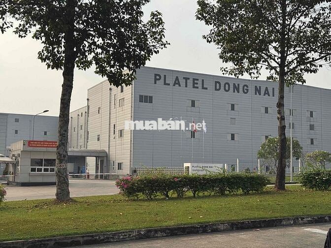 PLATEL Vina - Tuyển Dụng