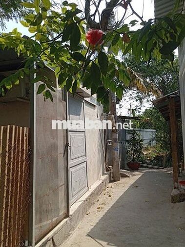 Cho thuê nhà làm văn phòng/kho giá rẻ