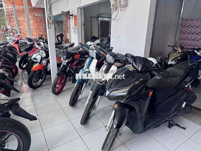 Honda Wave Đa dạng màu