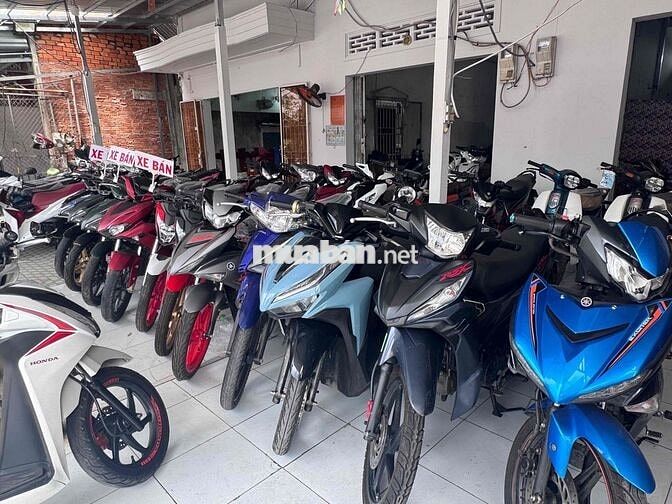Honda Wave Đa dạng màu