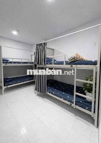 khai trương giường box ngủ đầy đủ tiện nghi cho sinh viên ng đi làm