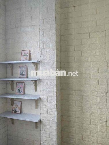 cho thuê nguyên căn CHDV quận 10