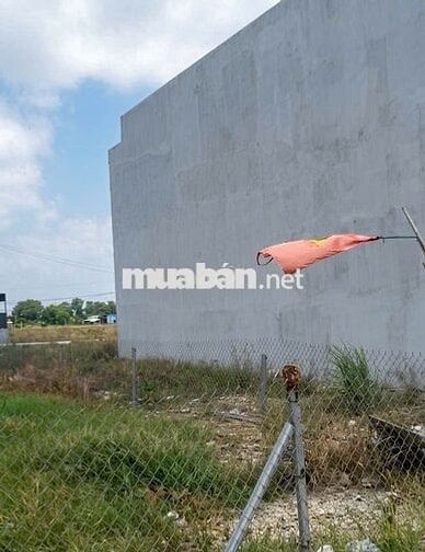 Bán lô đất 100m2 thổ cư xã Tân Lân Cần Đước chỉ 1 tỷ 6