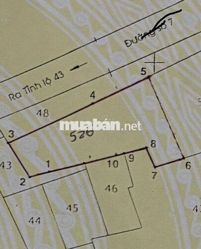Chính chủ bán dãy trọ mặt tiền 18m, đường số 7, p Tam Phú