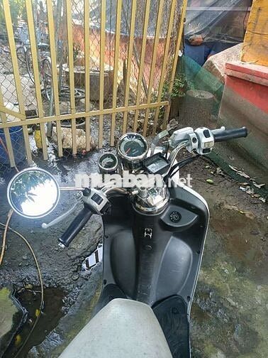 Suzuki Bella màu Trắng