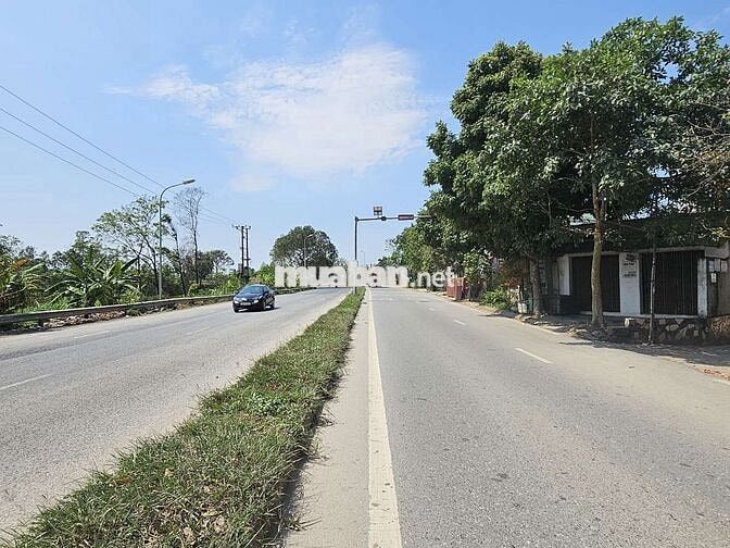 Cho thuê mặt bằng kinh doanh đường rộng