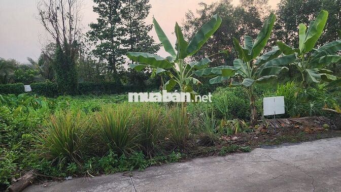 Đất Nền Gần Sân Bay Long Thành & KCN Long Đức