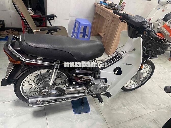 supber drim zin chất