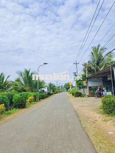 Nền thổ cư sổ riêng giá rẻ giáp Long khánh, view núi Chứa Chan