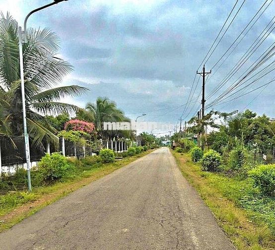 Nền thổ cư sổ riêng giá rẻ giáp Long khánh, view núi Chứa Chan