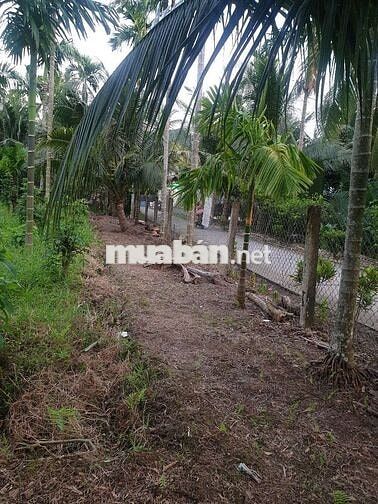 Bán đất gốc 2 mặt tiền bao đẹp 