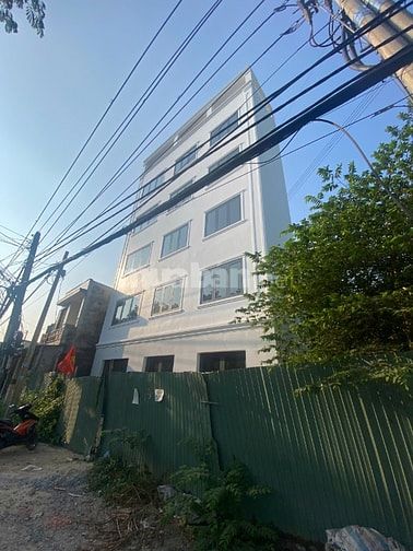 Chính chủ cho thuê 800m2 MT nhà + đất MT Trần Văn Giàu ngay KCN giá rẻ