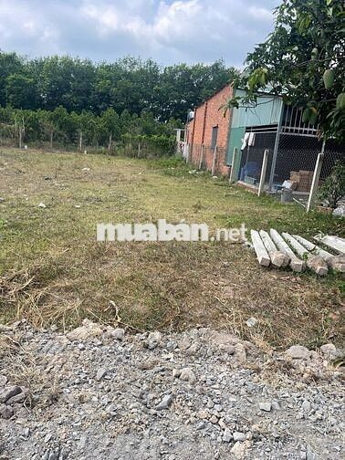 Đất thổ cư ngay trường học cấp 2 Phước Thạnh, 5x29 giá 4xx tr 