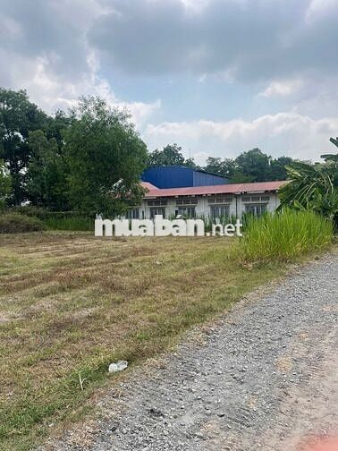 Đất thổ cư ngay trường học cấp 2 Phước Thạnh, 5x29 giá 4xx tr 