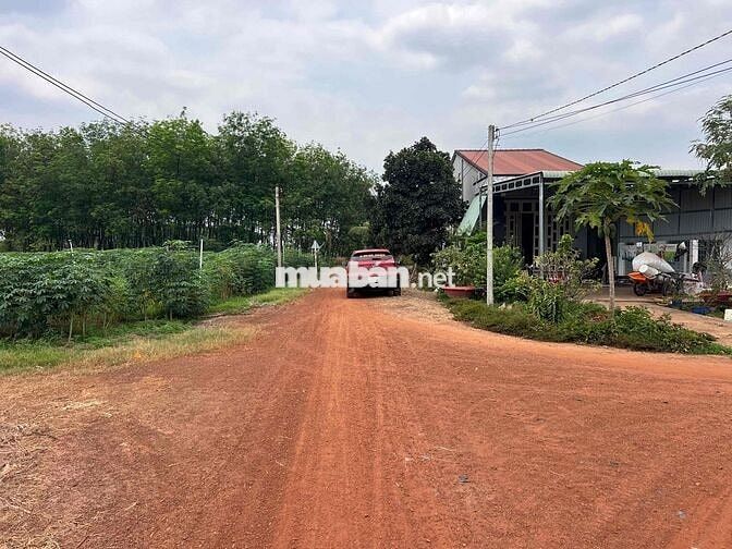 Nhà Vườn Bán Đất Mặt Tiền Đường 313m Tại Tân Hưng Tân Châu Tây Ninh