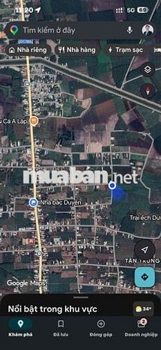 Nhà Vườn Bán Đất Mặt Tiền Đường 313m Tại Tân Hưng Tân Châu Tây Ninh