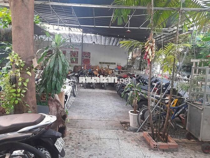 Cho thuê biệt thự sân vườn Nguyễn Thị Minh Khai, Quận 1 - 600m2