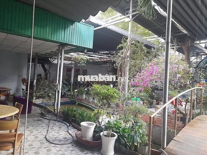 Cho thuê biệt thự sân vườn Nguyễn Thị Minh Khai, Quận 1 - 600m2
