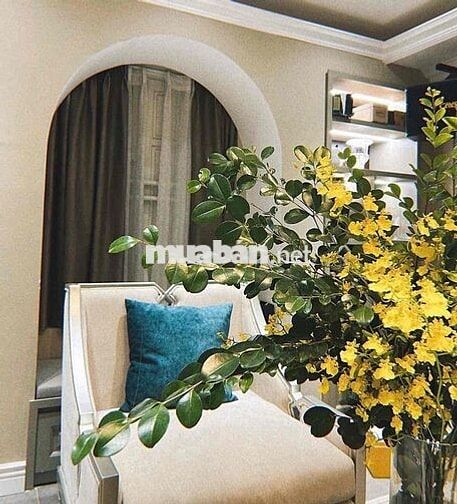 CHO THUÊ NHÀ NGUYÊN CĂN GARA Ô TÔ FULL NỘI THẤT CAO CẤP TẠI KHU PHÂN L