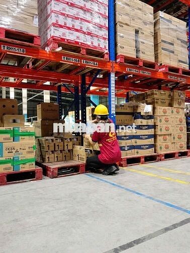 *** SOẠN HÀNG KHO CON CƯNG - CÓ LƯƠNG TUẦN
