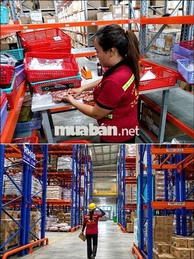 *** SOẠN HÀNG KHO CON CƯNG - CÓ LƯƠNG TUẦN