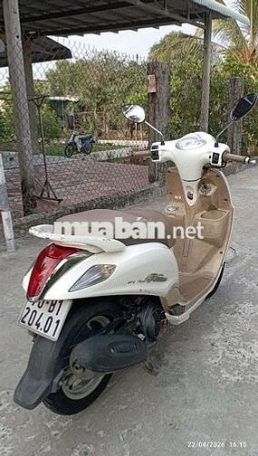 Tay ga Fi Nozza giấy tây Ninh 